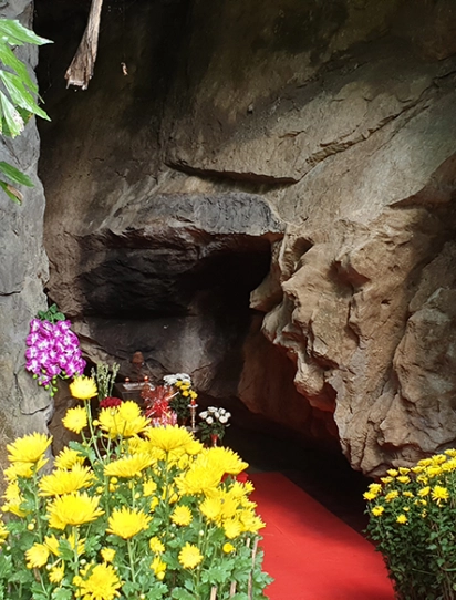 Đồng Hới - Hang Tám Cô - Động Phong Nha - Vườn thực vật - Đồng Hới