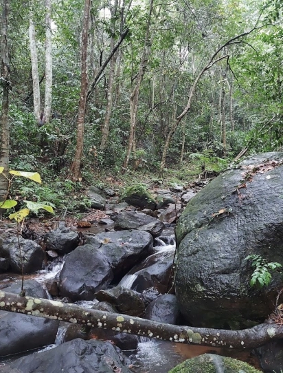 Đồng Hới - Hang Tám Cô - Động Phong Nha - Vườn thực vật - Đồng Hới