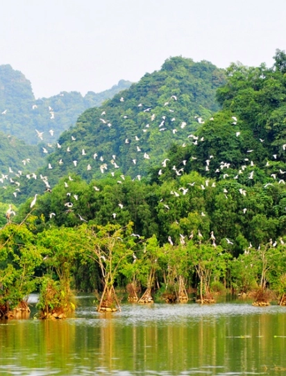 Đồng Hới - Ninh Bình - KDL Sinh thái Thung Nham - Danh thắng Tràng An - Đồng Hới