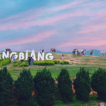 Quảng Bình - Vinh - Đà Lạt - Nha Trang - Quảng Bình