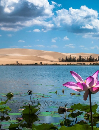 Đồng Hới - TP.HCM - Tây Ninh - Phan Thiết - TP.HCM - Đồng Hới