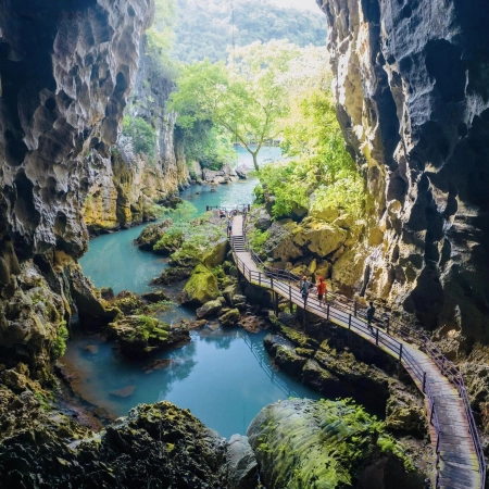 Full-Day Phong Nha Discovery: Sacred History, Tropical Nature &amp; Stunning Cave