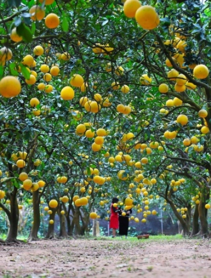 Quảng Bình - Hà Nội - Bảo Tàng Lịch Sử Quân Sự Việt Nam - Lăng Bác - Văn Miếu Quốc Tử Giám - Mega Grand World - Quảng Bình