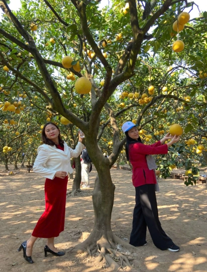 Quảng Bình - Hà Nội - Bảo Tàng Lịch Sử Quân Sự Việt Nam - Lăng Bác - Văn Miếu Quốc Tử Giám - Mega Grand World - Quảng Bình