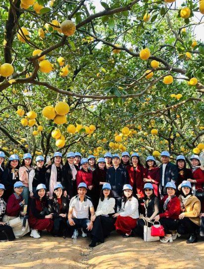 Quảng Bình - Hà Nội - Bảo Tàng Lịch Sử Quân Sự Việt Nam - Lăng Bác - Văn Miếu Quốc Tử Giám - Mega Grand World - Quảng Bình