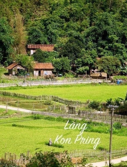 CHẠM VÀO MĂNG ĐEN - NÀNG THƠ CỦA NÚI RỪNG TÂY NGUYÊN