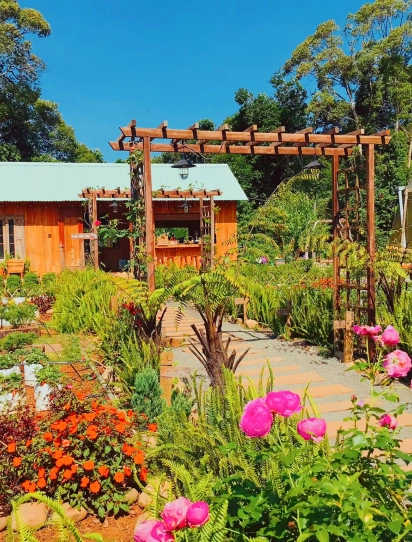 CHẠM VÀO MĂNG ĐEN - NÀNG THƠ CỦA NÚI RỪNG TÂY NGUYÊN