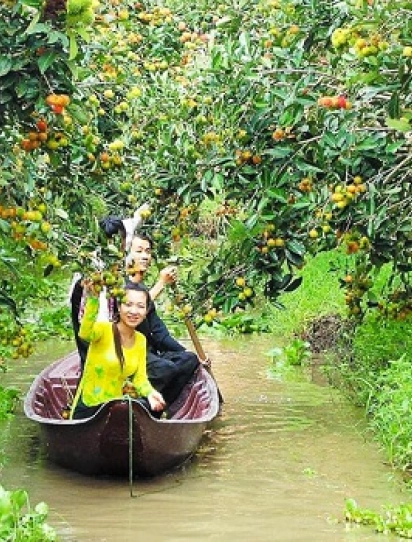 Trải Nghiệm Miền Tây Mùa Nước Nổi – Hành Trình Sông Nước Đặc Sắc