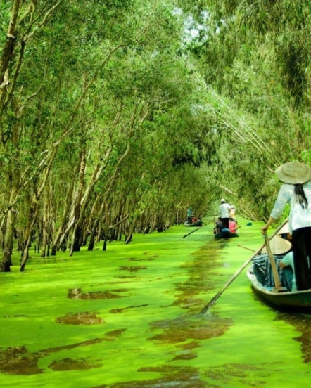 Trải Nghiệm Miền Tây Mùa Nước Nổi – Hành Trình Sông Nước Đặc Sắc