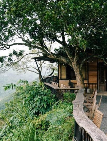 Tour hàng ngày: Khe sanh coffe tour