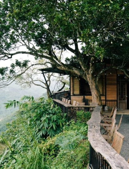 Tour hàng ngày: Khe sanh coffe tour