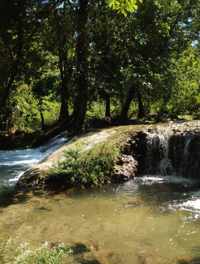 CHÀ CÙNG – BẢN VÂN KIỀU – THÁC TAM LU