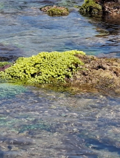 2 Days 1 Night: Con Co Island – Vinh Moc Tunnels – Cua Tung – Hien Luong Bridge