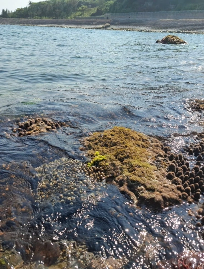 2 Days 1 Night: Con Co Island – Vinh Moc Tunnels – Cua Tung – Hien Luong Bridge