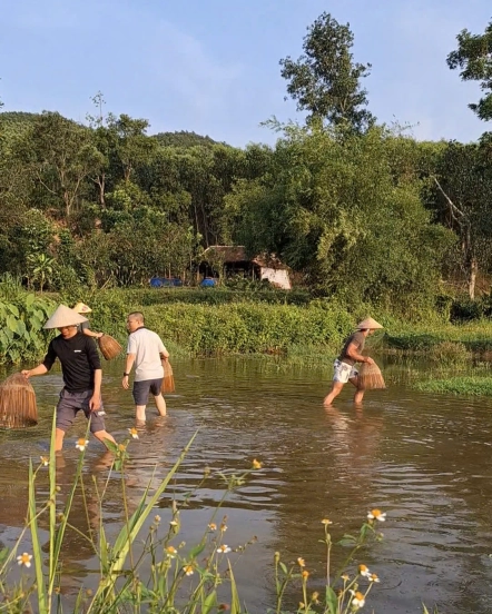 Tour Phong Nha 3 ngày 2 đêm cho gia đình, nhóm bạn