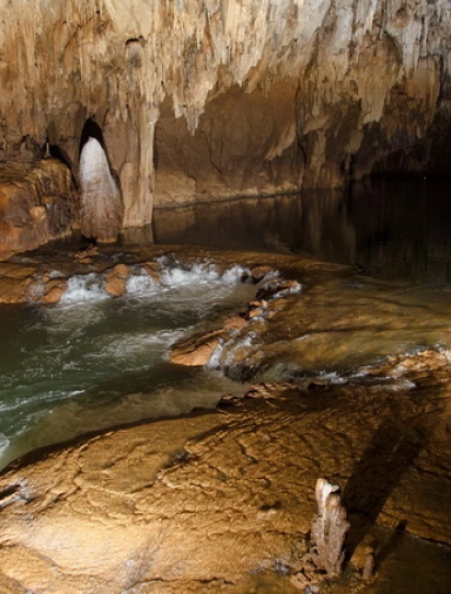 Đồng Hới – Động Thiên Đường - Vườn thực vật – Động Phong Nha