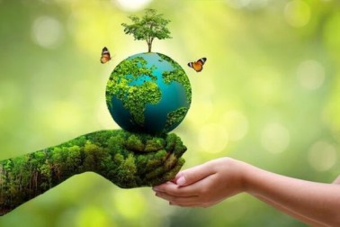 Bảo vệ Trái đất thông qua các sự kiện môi trường