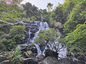 Vườn thực vật Phong Nha - Trekking trải nghiệm thiên nhiên