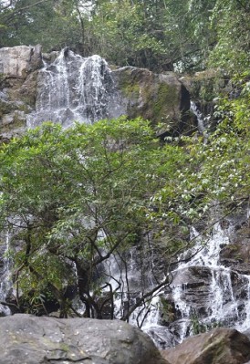 Dong Hoi – Phong Nha cave – Botanical Garden – Mooc spring