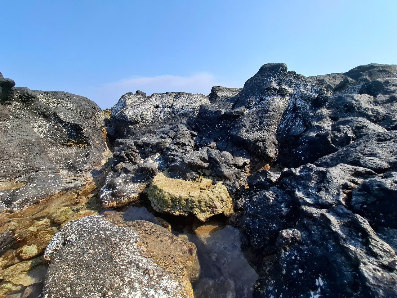 Hóa thạch san hô đảo Cồn Cỏ