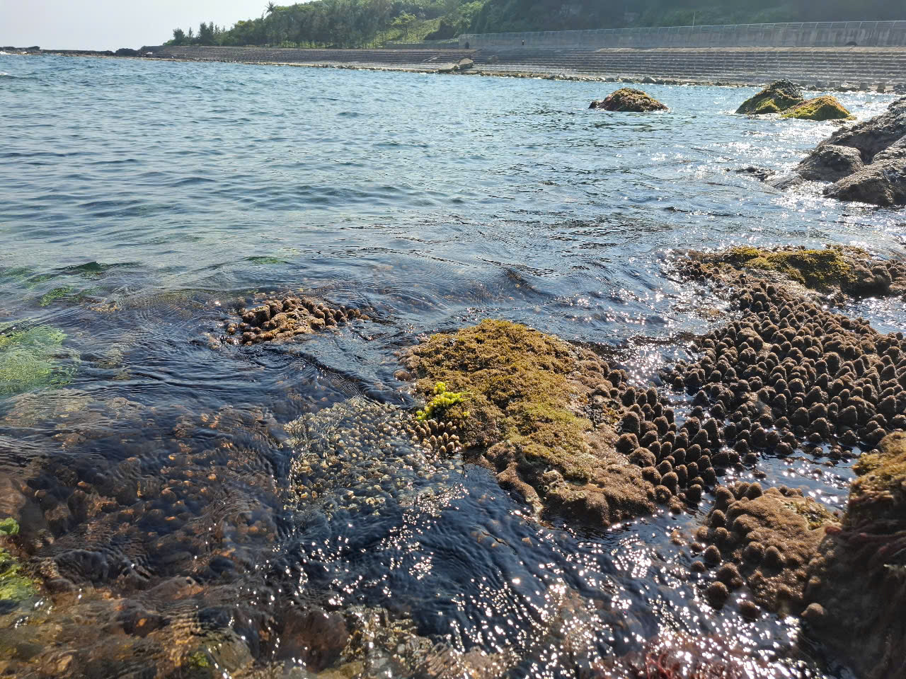 Tour 3N2Đ Cồn Cỏ – Rú Lịnh – Vịnh Mốc