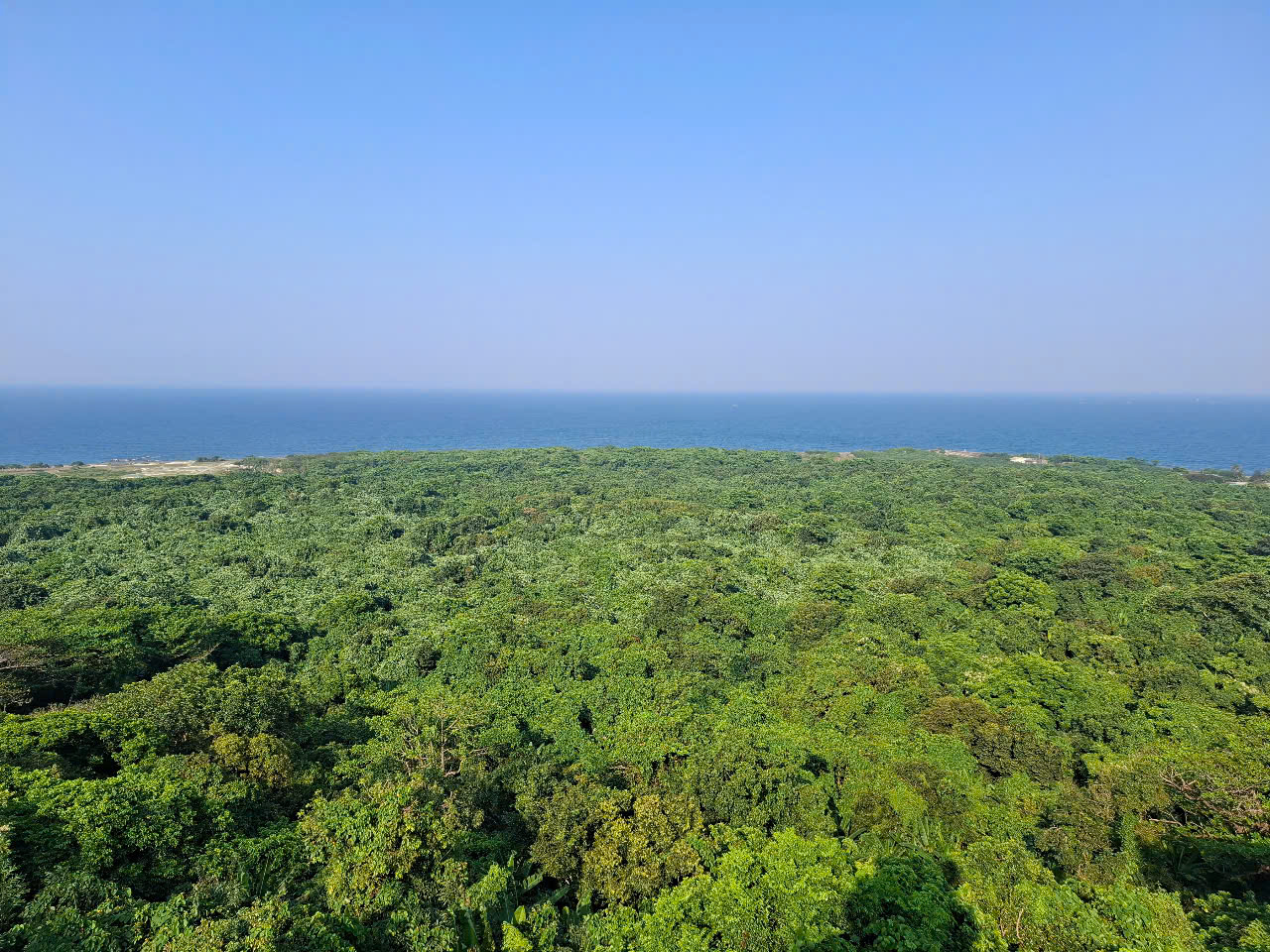 Thảm thực vật trên đảo Cồn Cỏ