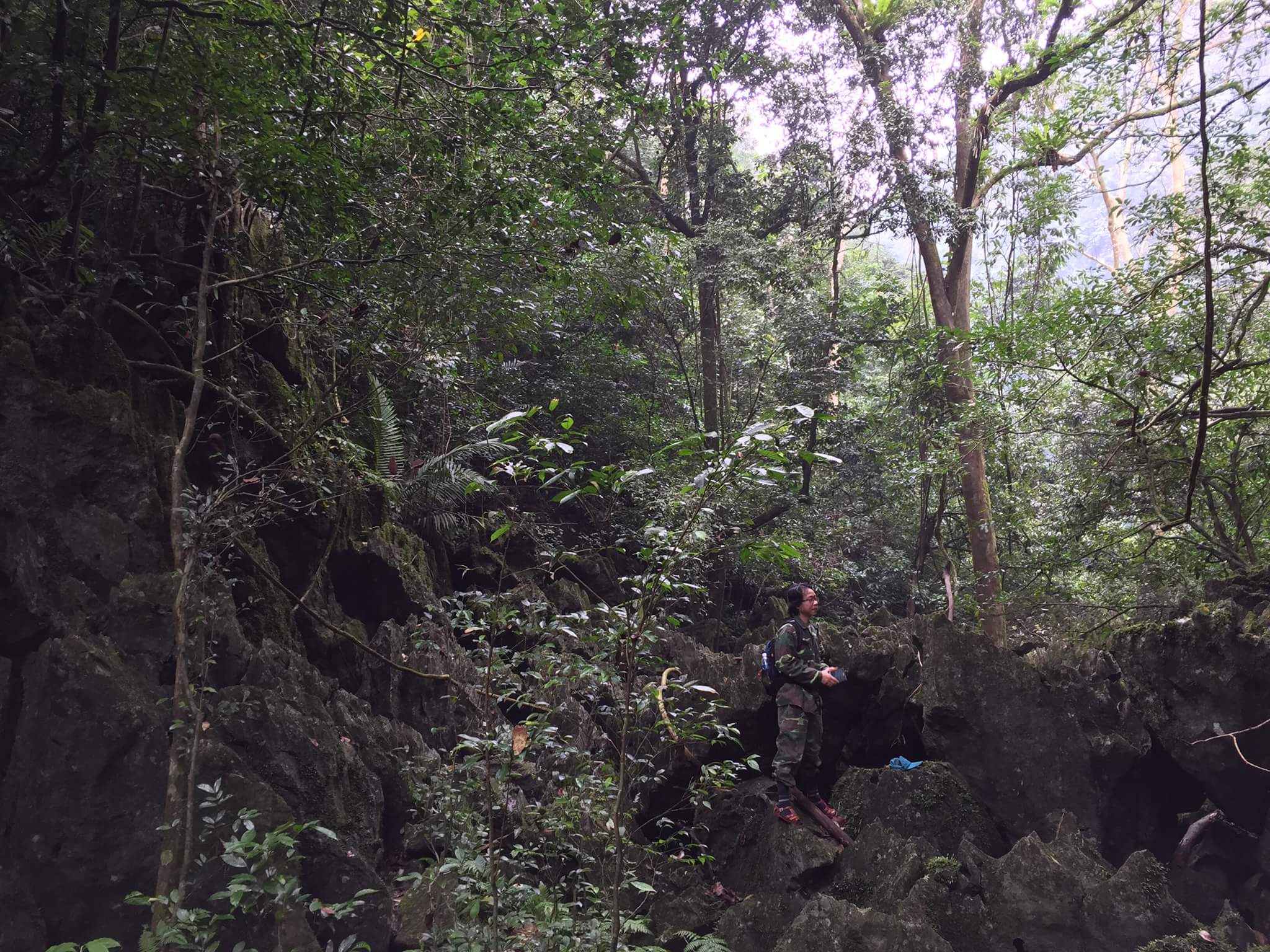 A Survey in Thuy Cung Cave