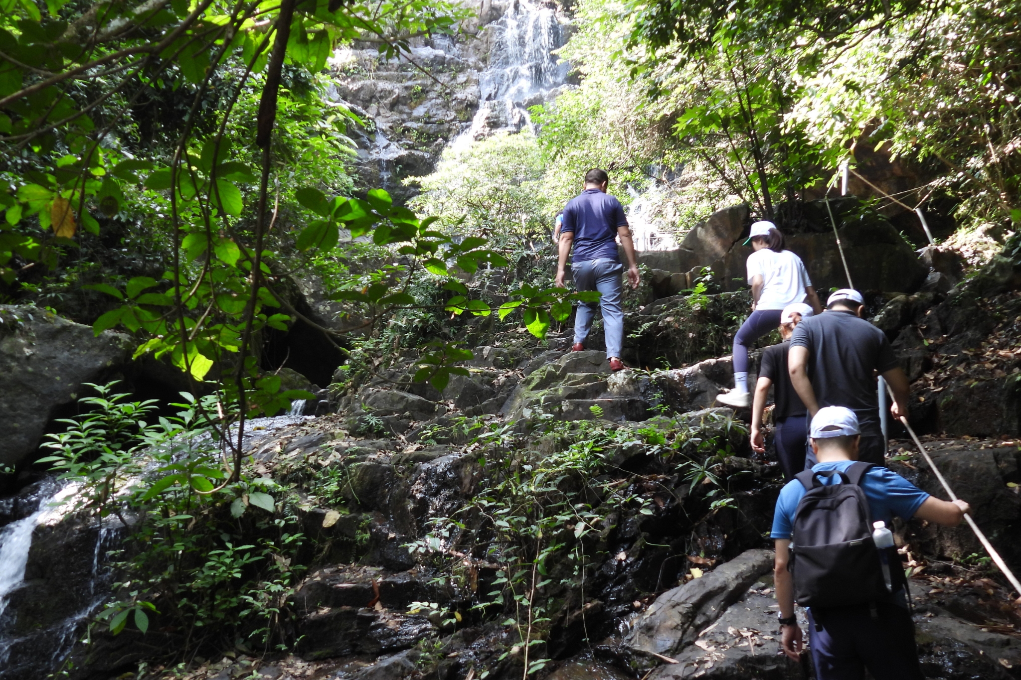 Vườn Thực Vật Phong Nha